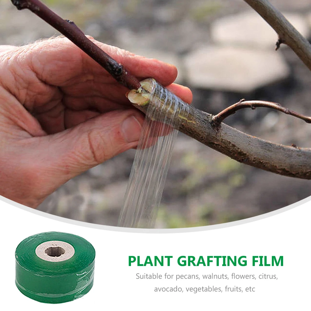 Premium Grafting Film Self-Adhesive Waterproof Stretchable for Fruit Trees Vegetables Flowers Horticulture Gardening Nursery
Premium Grafting Film Self-Adhesive Waterproof Stretchable for Fruit Trees Vegetables Flowers Horticulture Gardening Nursery