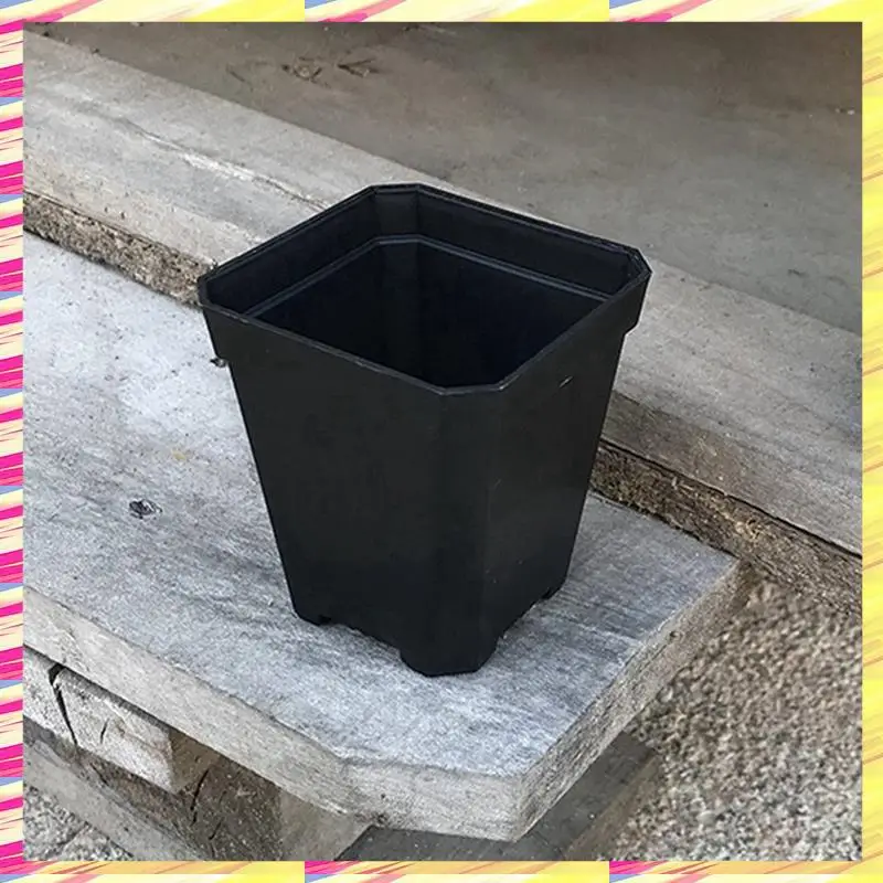 ABJJ 200PCS Plant Disposable Flower Pot Small Black Square Cutting Seedling Plastic Square Pot
ABJJ 200PCS Plant Disposable Flower Pot Small Black Square Cutting Seedling Plastic Square Pot