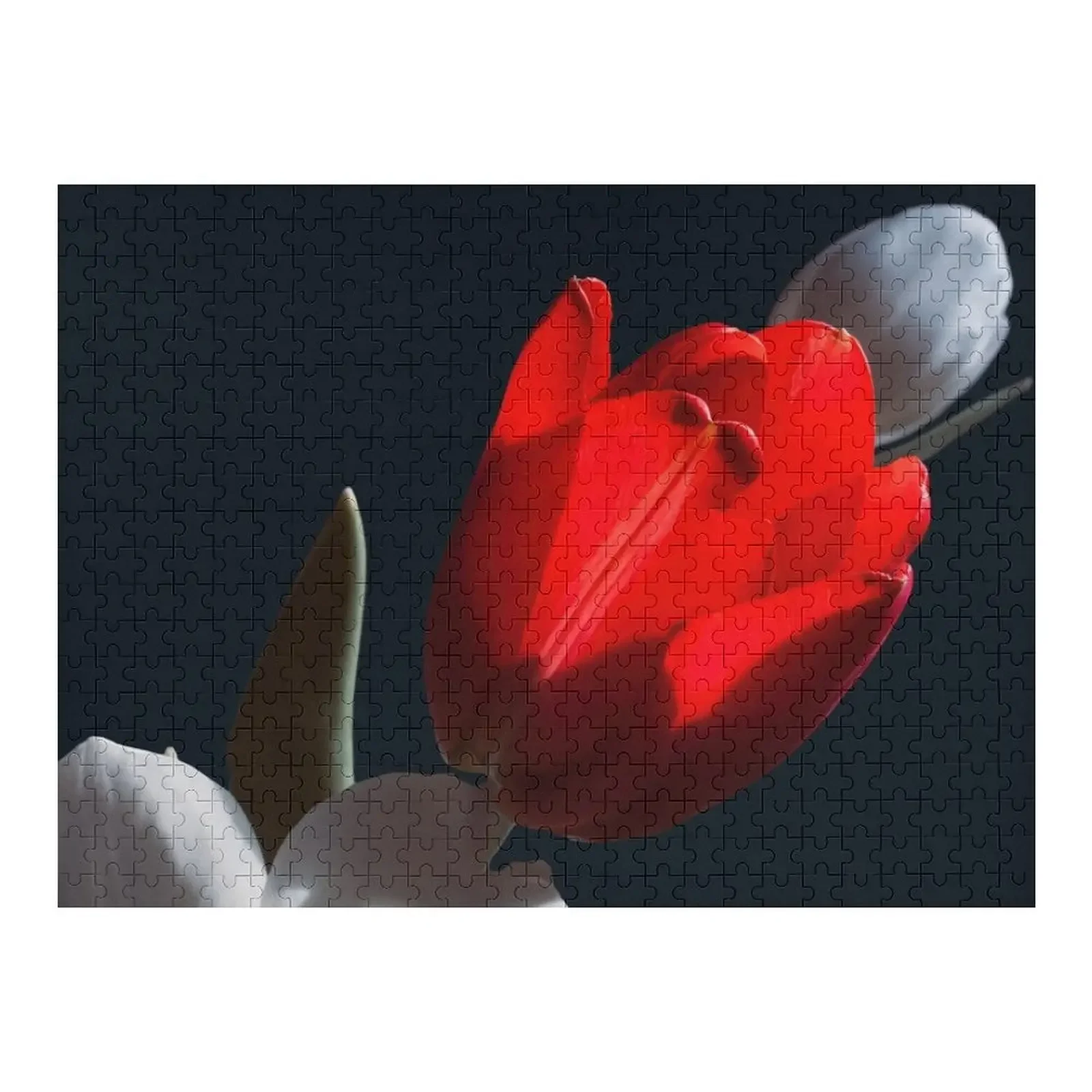 Red tulip in light Jigsaw Puzzle Wood Adults Customized Kids Gift Custom Jigsaw Personalized Photo Gift Puzzle
Red tulip in light Jigsaw Puzzle Wood Adults Customized Kids Gift Custom Jigsaw Personalized Photo Gift Puzzle
