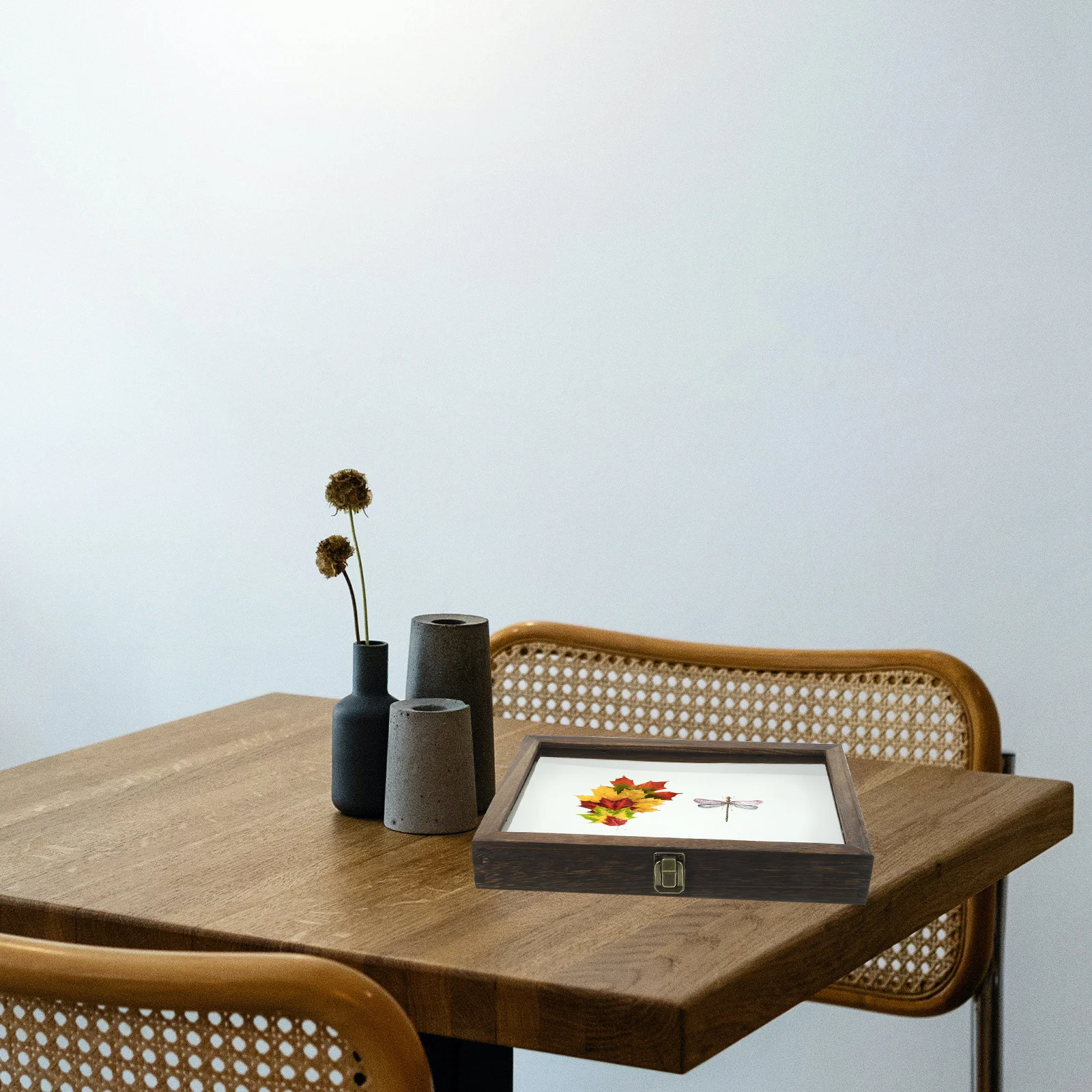 1 set 1 Set Wooden Specimen Box 12X8X3Cm With Transparent Lid For Insect Plant Storage Display Case Vintage Shadow Box Frame
1 set 1 Set Wooden Specimen Box 12X8X3Cm With Transparent Lid For Insect Plant Storage Display Case Vintage Shadow Box Frame