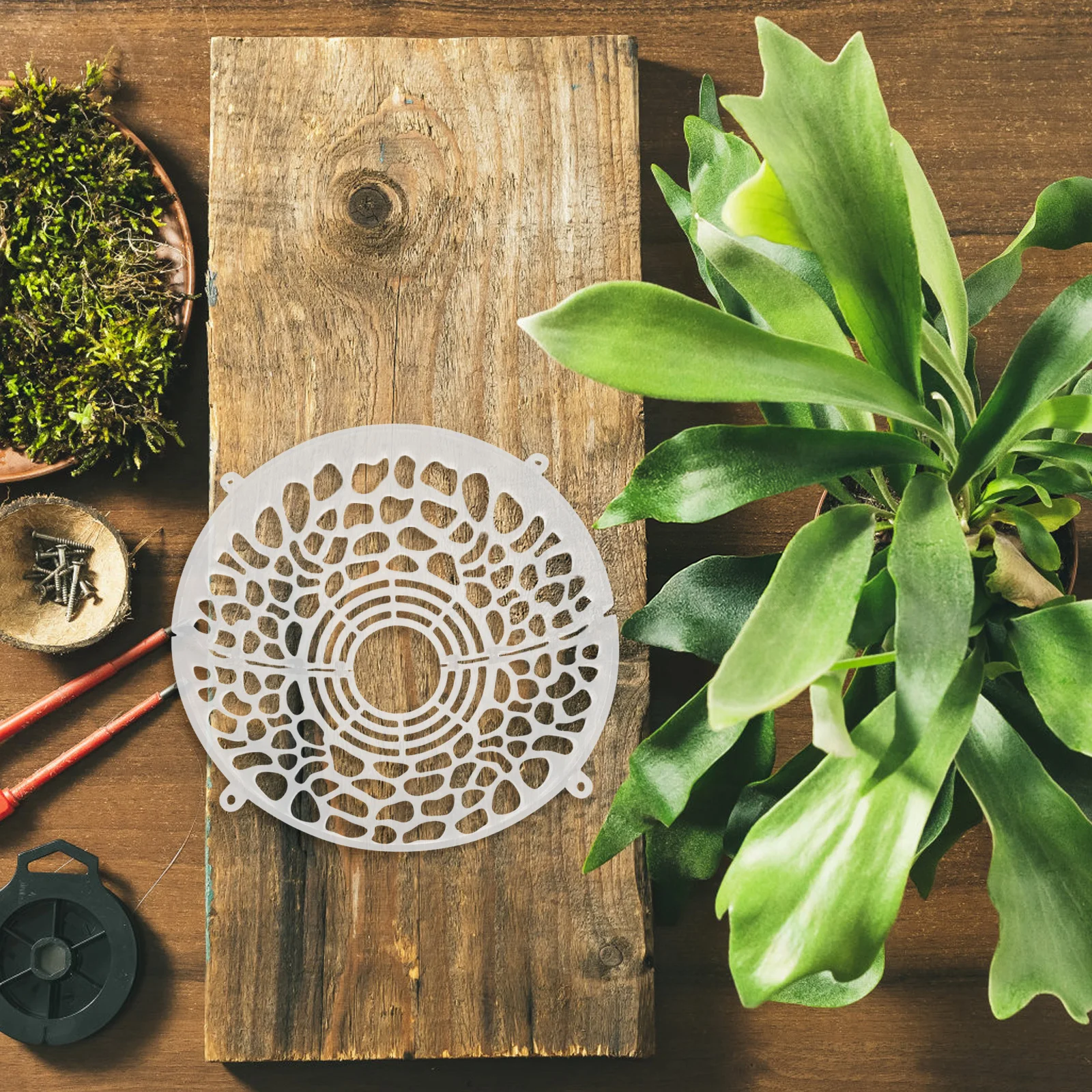 Suspension Ball For Aquatic Plants Orchids Transparent Planting Cover Breathable Hollowed Air Vent Saving
Suspension Ball For Aquatic Plants Orchids Transparent Planting Cover Breathable Hollowed Air Vent Saving