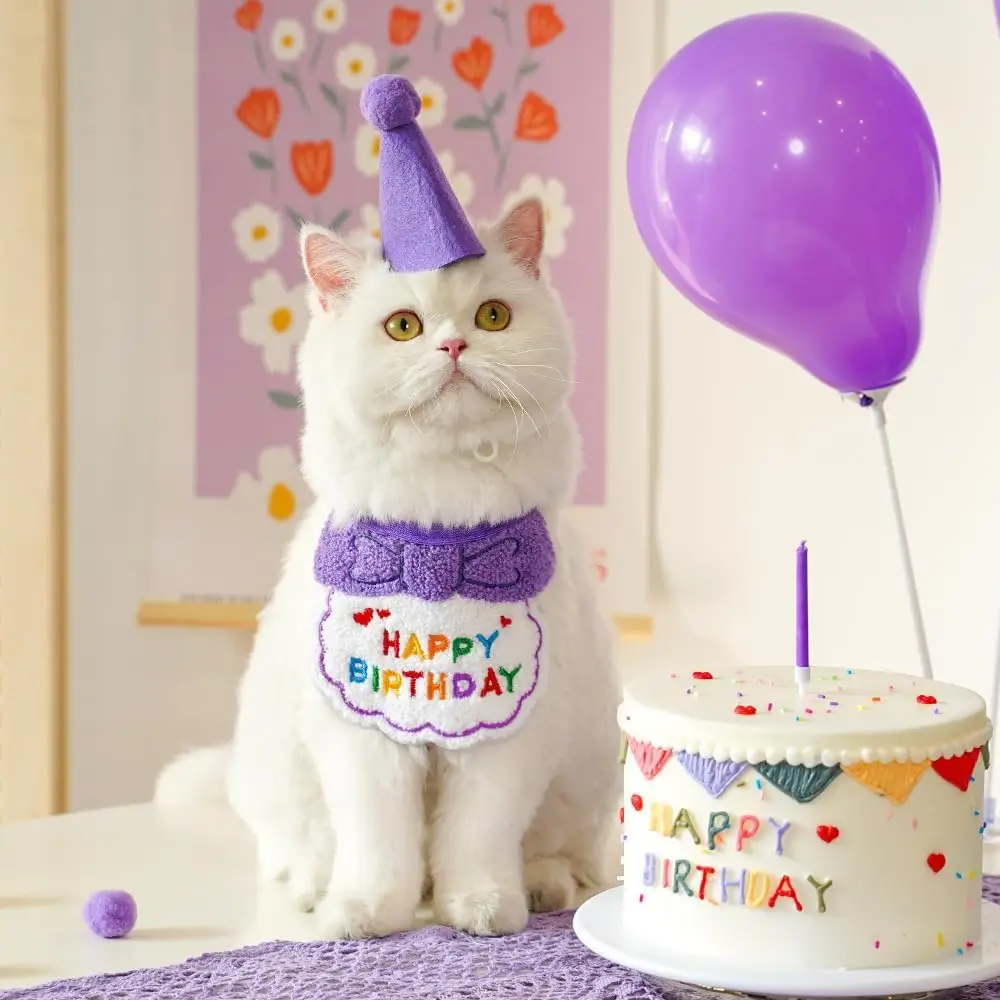 Dog Cat Birthday Bandana Hat Set Pet Party Costume Decor Purple
Dog Cat Birthday Bandana Hat Set Pet Party Costume Decor Purple