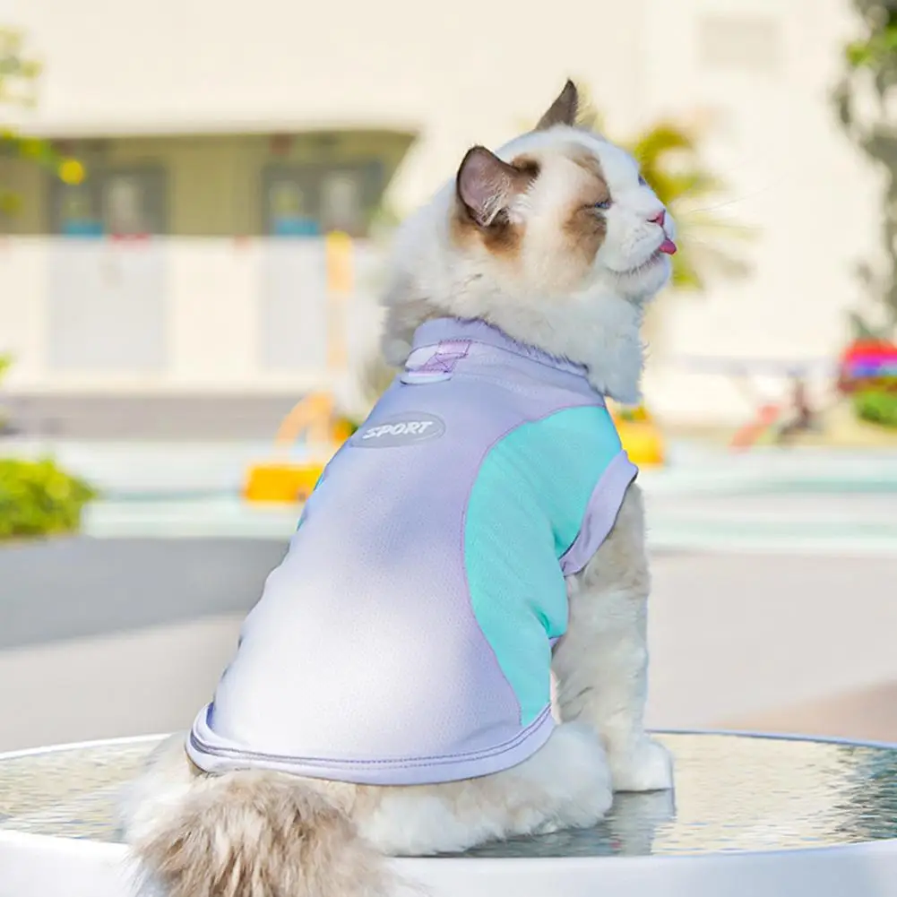 Sun Protection Dog Shirt Quick-Drying Ice Silk Dog Cooling T-shirts Summer Pet Sleeveless Clothes for Small Medium Dogs
Sun Protection Dog Shirt Quick-Drying Ice Silk Dog Cooling T-shirts Summer Pet Sleeveless Clothes for Small Medium Dogs