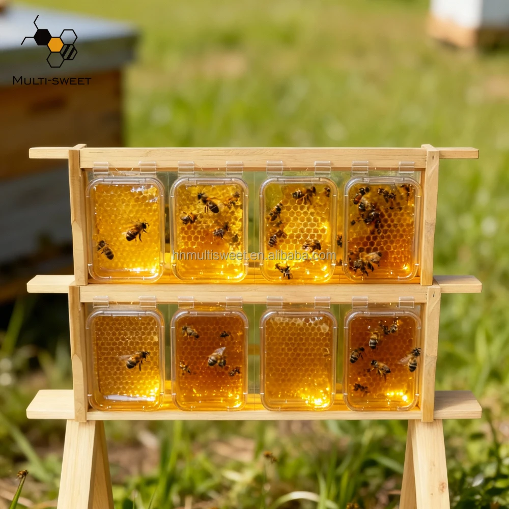 Plastic Comb Honey Box Bee Frames Honeycomb Box Cassette for British Uk Hive Frame
Plastic Comb Honey Box Bee Frames Honeycomb Box Cassette for British Uk Hive Frame