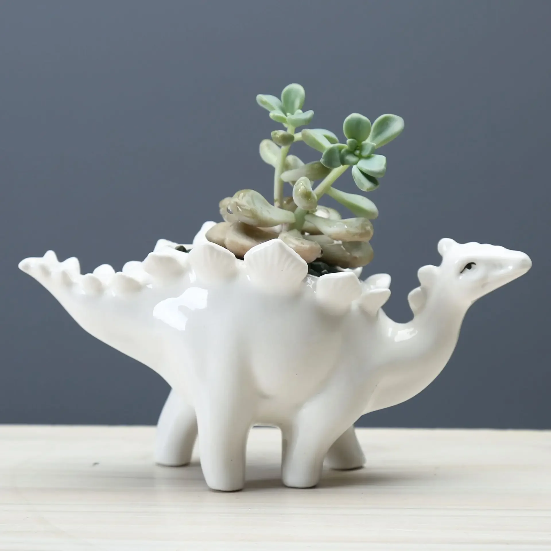 Cartoon animal Dinosaur Succulent Flower Pot vase Home gardening supplies Creative indoor decorating pieces Home room decoration
Cartoon animal Dinosaur Succulent Flower Pot vase Home gardening supplies Creative indoor decorating pieces Home room decoration