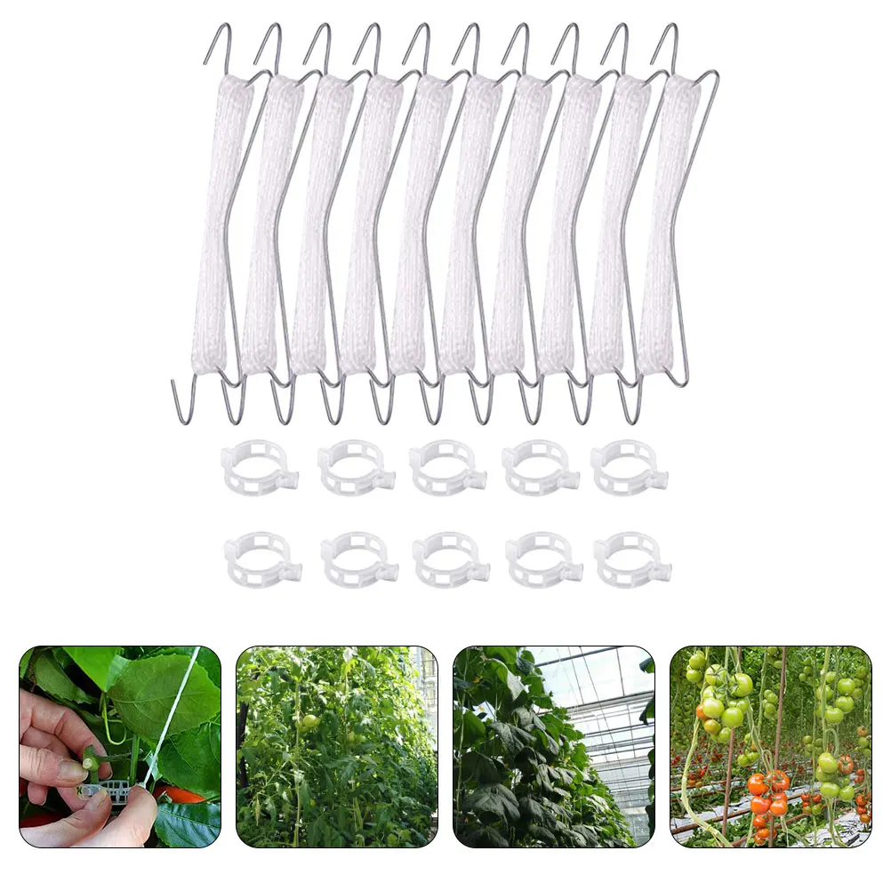1 Set Holder Hook Plant Outdoor Cucumbers Supports Hooks Vine Support Hooks Outdoor Weather-Resistant Greenhouse Tools Garden 
1 Set Holder Hook Plant Outdoor Cucumbers Supports Hooks Vine Support Hooks Outdoor Weather-Resistant Greenhouse Tools Garden
