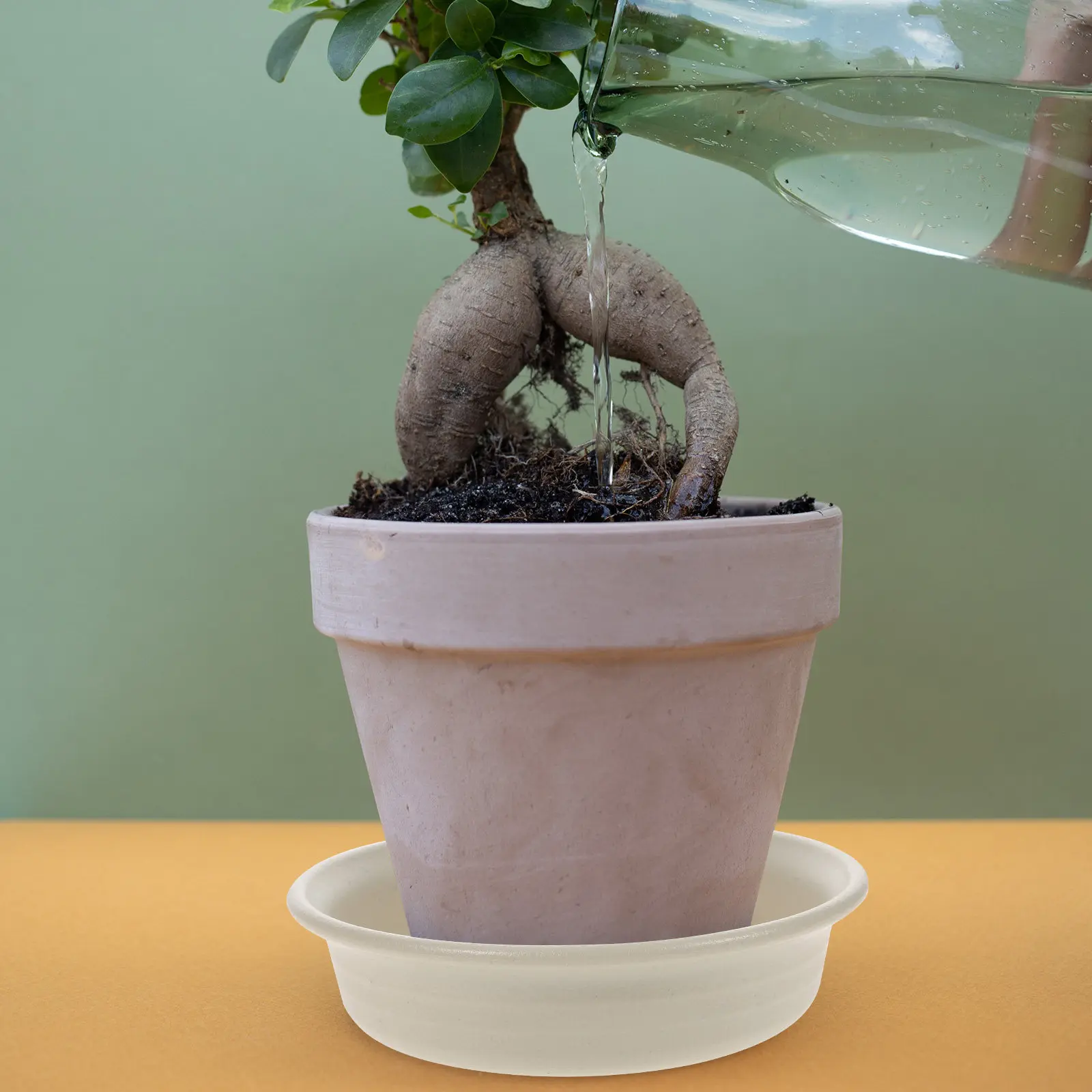 2Pcs Premium Thick Resin Flower Pot Saucer Tray Round Plant Drip Tray for Indoor Plants Water Leakage Prevention Cleaning Floor
2Pcs Premium Thick Resin Flower Pot Saucer Tray Round Plant Drip Tray for Indoor Plants Water Leakage Prevention Cleaning Floor