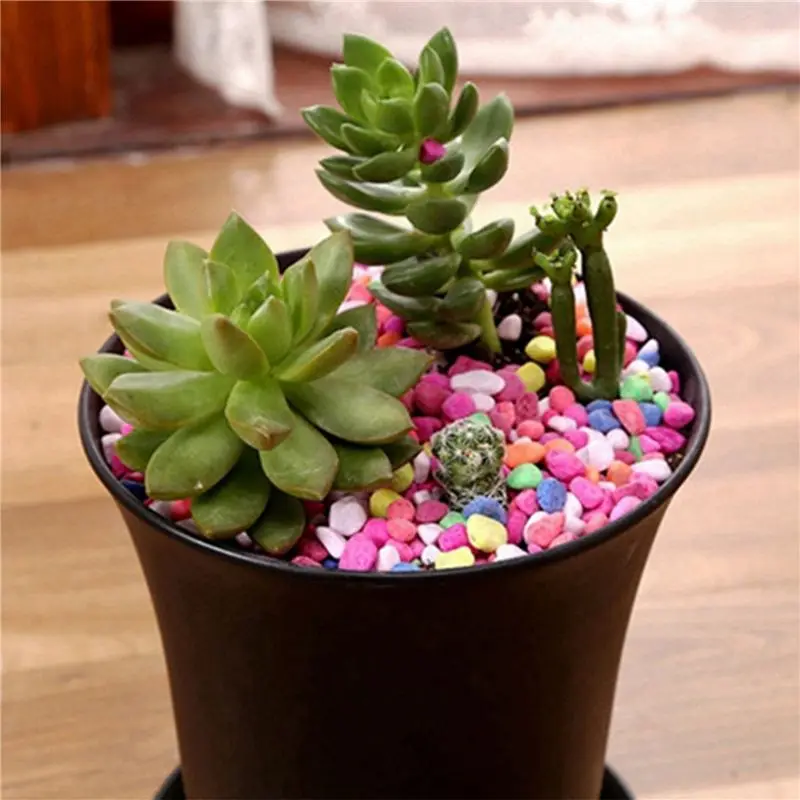 A84X-40Pcs Black Round Flower Pots High Waist Deep Pots Are Perfect For Indoor And Outdoor Plants, Seeds, Vegetables
A84X-40Pcs Black Round Flower Pots High Waist Deep Pots Are Perfect For Indoor And Outdoor Plants, Seeds, Vegetables