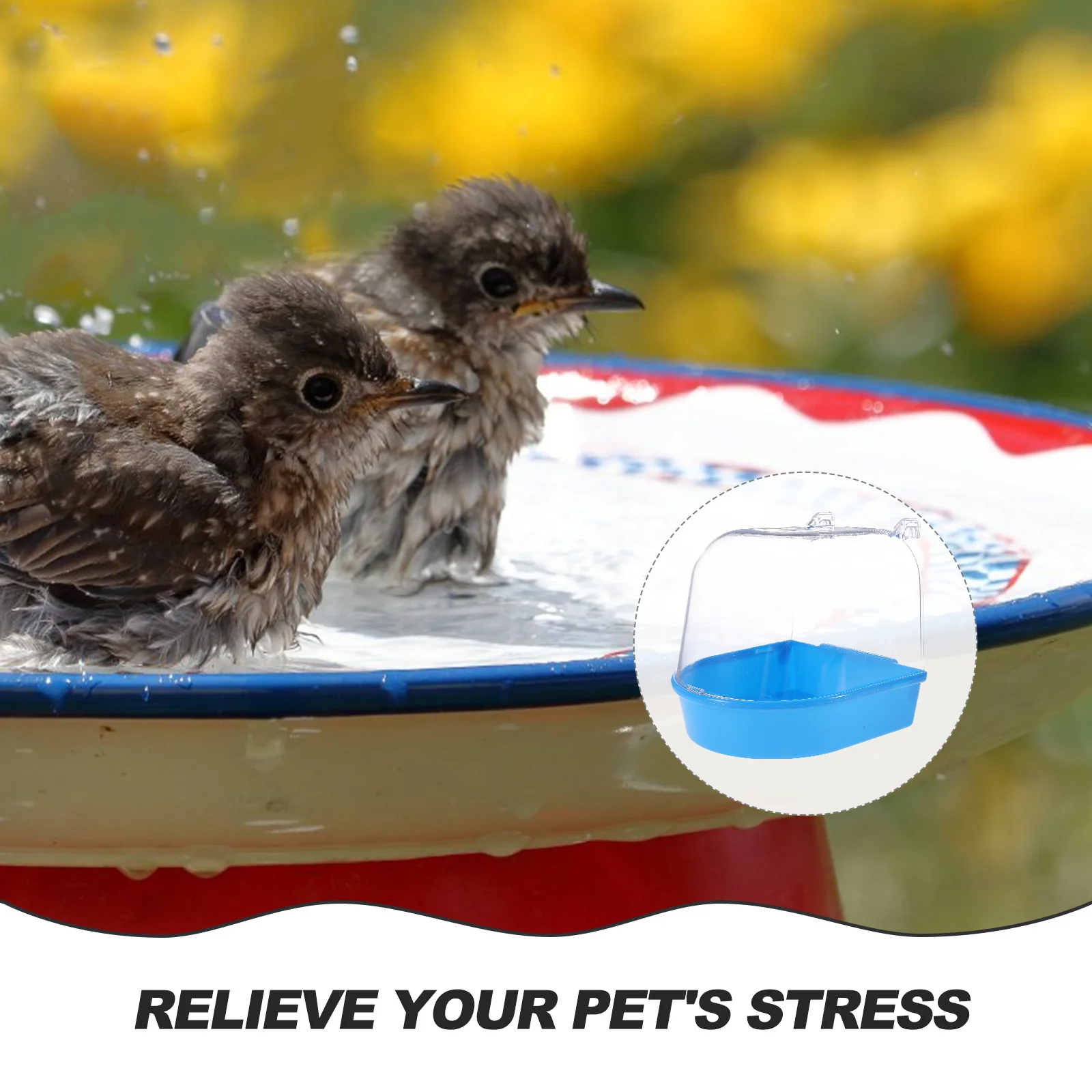 bird bathtub bird bath basin bird plastic bathtub parrot bathing box bird bath for cage
bird bathtub bird bath basin bird plastic bathtub parrot bathing box bird bath for cage