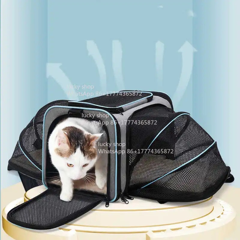 Lucky Grocery Store Expanded Pet Bag Large Capacity Messenger Cat, Dog Portable When Going Out1105241158 Store
Lucky Grocery Store Expanded Pet Bag Large Capacity Messenger Cat, Dog Portable When Going Out1105241158 Store