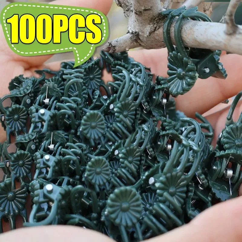 50/100PCS Mini Plant Clips Plant Support Vine Clamp Garden Fruit Vegetable Stem Clip Reusable Flower Bracket Grafting Fixed Clip
50/100PCS Mini Plant Clips Plant Support Vine Clamp Garden Fruit Vegetable Stem Clip Reusable Flower Bracket Grafting Fixed Clip