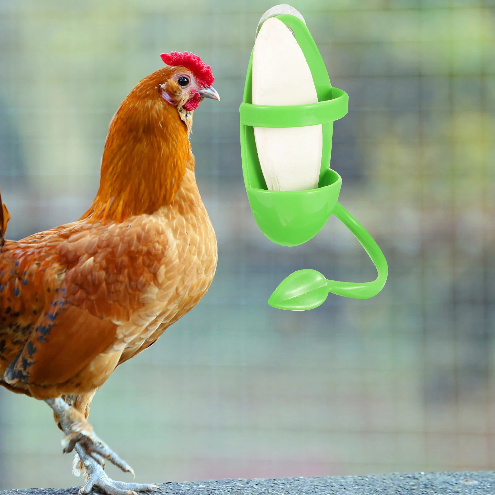 Bird Feeding Rack Cuttlefish Bone Holder Durable Cage Accessory Parrot Bowl Budgie Food Cuttlebone Poultry Eating Container
Bird Feeding Rack Cuttlefish Bone Holder Durable Cage Accessory Parrot Bowl Budgie Food Cuttlebone Poultry Eating Container