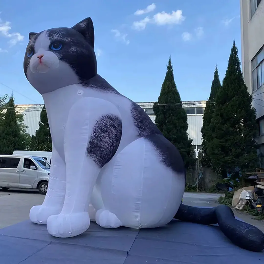 Дешевая гигантская надувная кошка, воздушный удар, реалистичная киска/кошелек/кушетка, украшение для уличного мероприятия, реквизит для рекламы ночного клуба
Дешевая гигантская надувная кошка, воздушный удар, реалистичная киска/кошелек/кушетка, украшение для уличного мероприятия, реквизит для рекламы ночного клуба