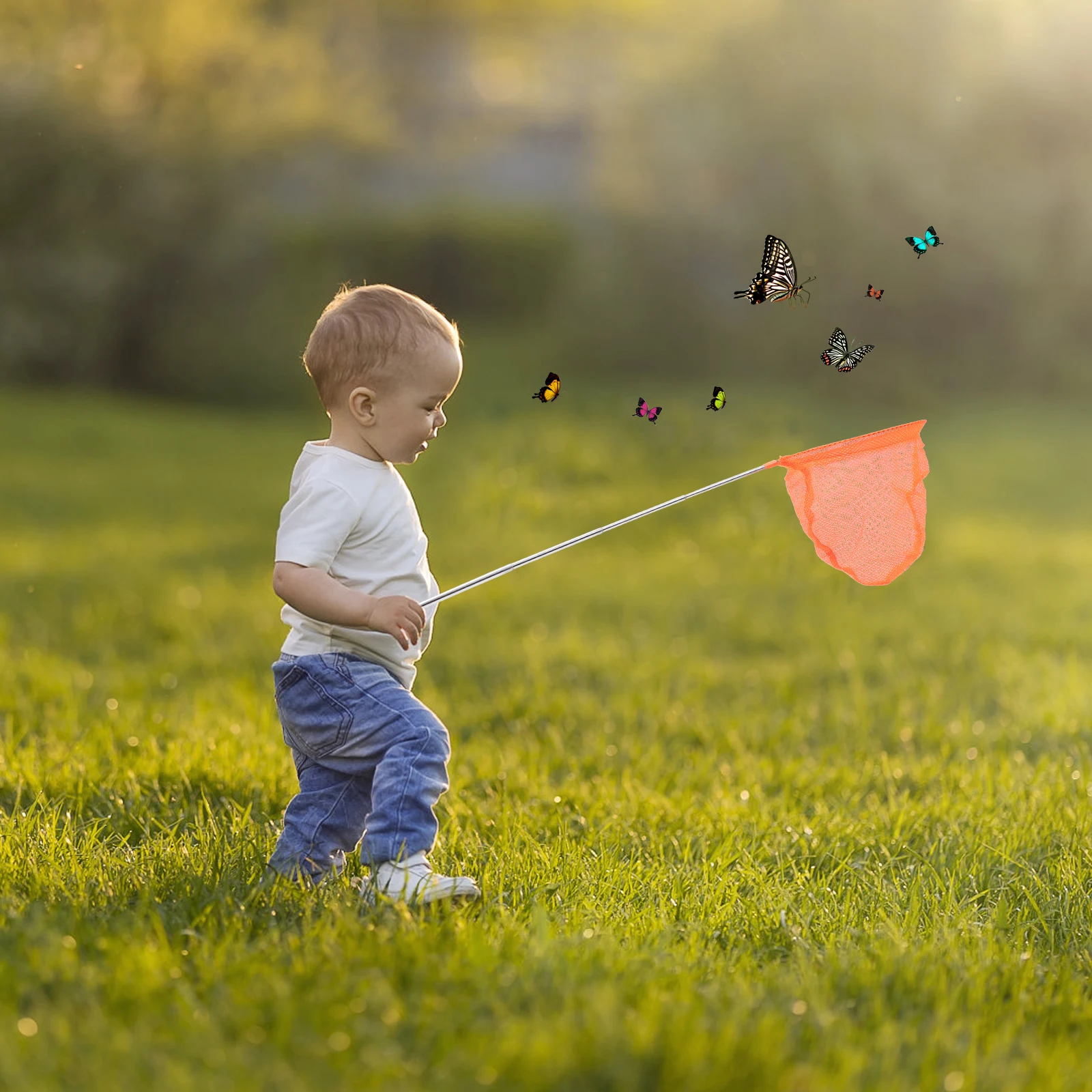Insect Butterfly Net Fishing Nets Catcher Kit Kids Portable Telescopic Stainless Steel Nylon Bug Catcher Insect Nets Toys
Insect Butterfly Net Fishing Nets Catcher Kit Kids Portable Telescopic Stainless Steel Nylon Bug Catcher Insect Nets Toys