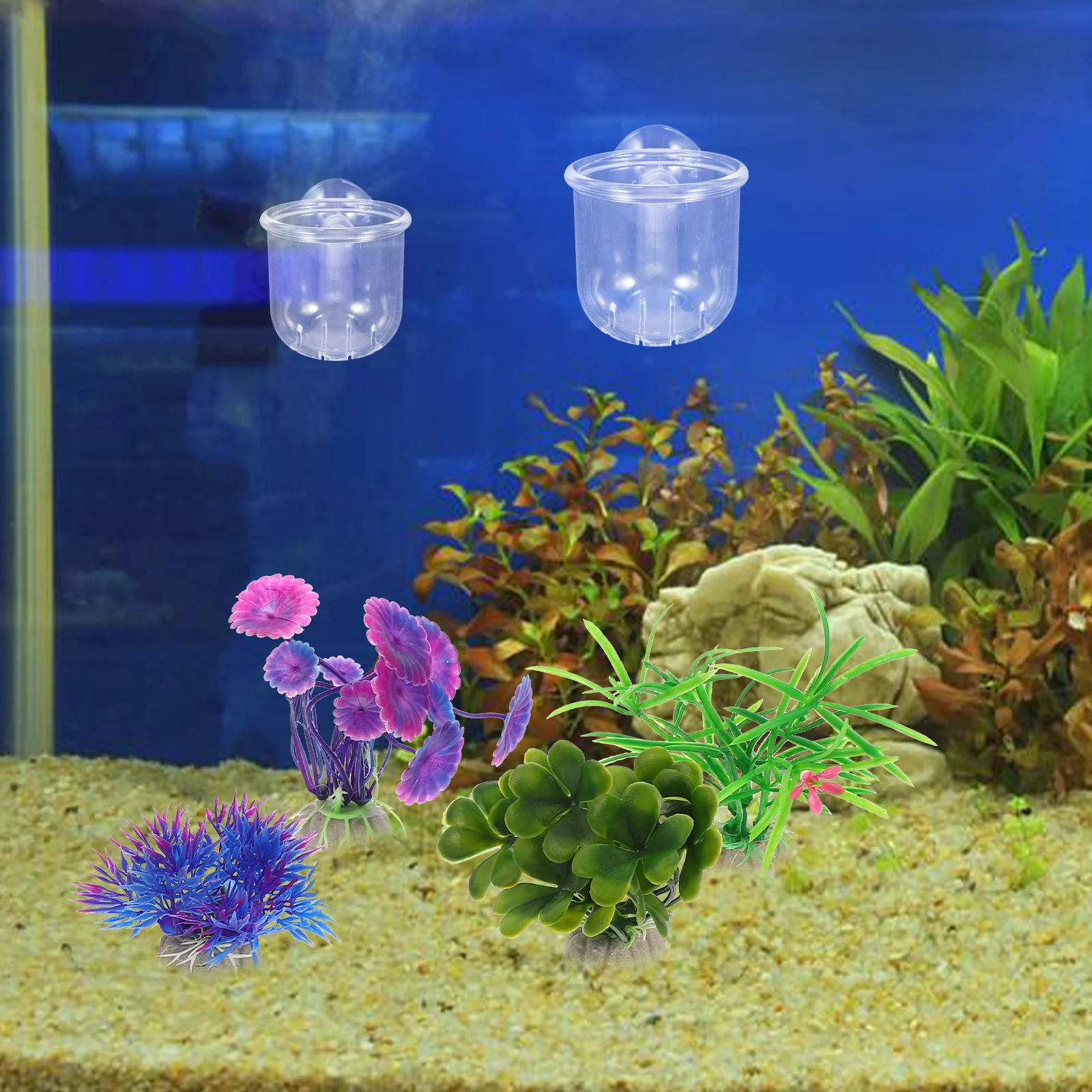 4Pcs Glass Feeding Cups Crystal Cone Fish Feeder Aquarium Suction Cup Fish Food Holder Red Worm Shrimp Feeder Aquarium Glass Cup
4Pcs Glass Feeding Cups Crystal Cone Fish Feeder Aquarium Suction Cup Fish Food Holder Red Worm Shrimp Feeder Aquarium Glass Cup