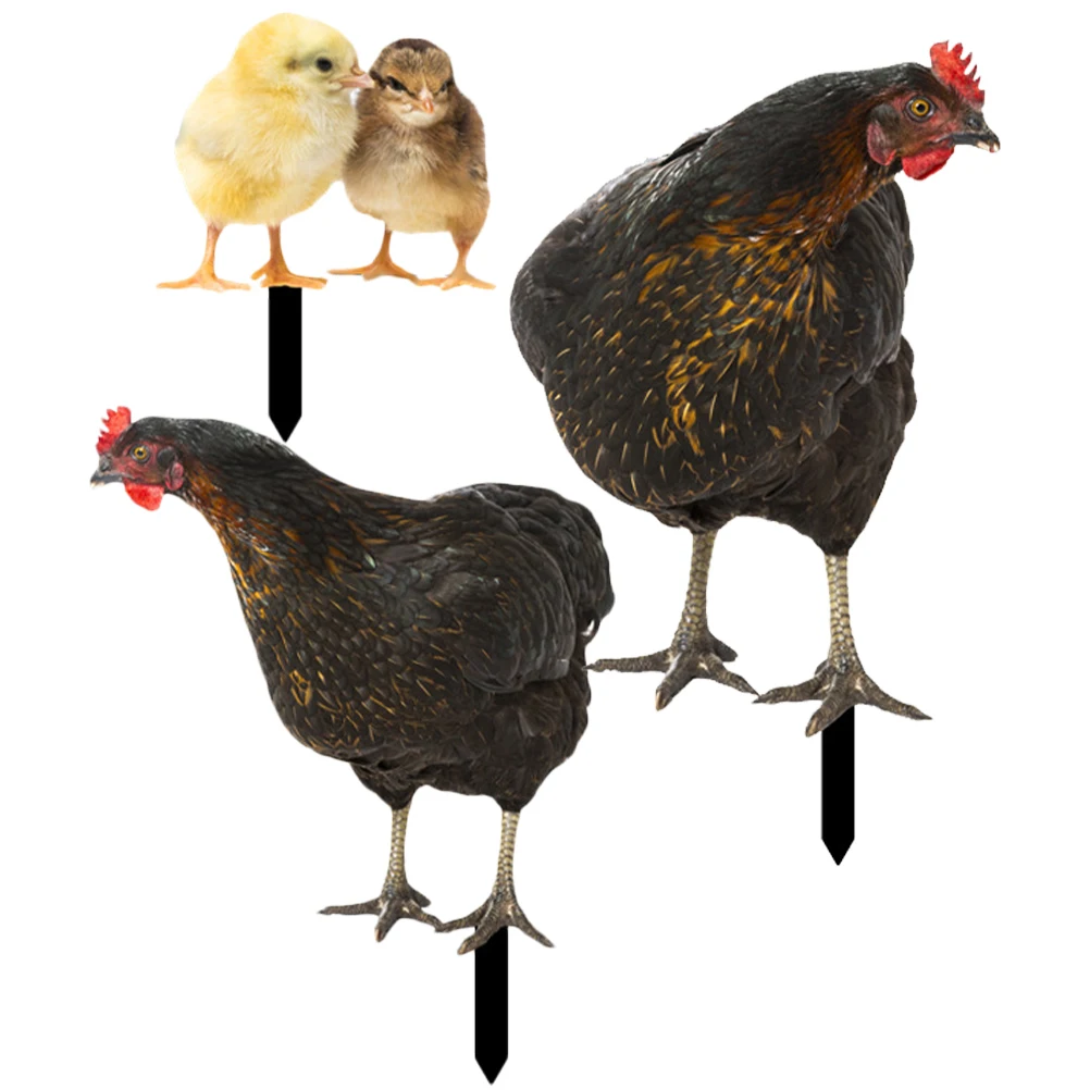 Decorative Garden Inserts Realistic Chicken Stake Acrylic Lawn nament Yard Sign Animal Hen Insert Outdoor Decor
Decorative Garden Inserts Realistic Chicken Stake Acrylic Lawn nament Yard Sign Animal Hen Insert Outdoor Decor