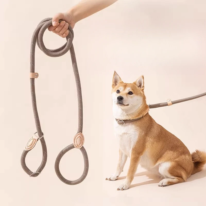 Dog Anti Pull Chain Leash, Escape Proof Training Collar for Medium Large Breed, Pet Walking Rope
Dog Anti Pull Chain Leash, Escape Proof Training Collar for Medium Large Breed, Pet Walking Rope