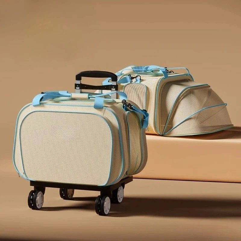 Дышащий портативный рюкзак в клетку для кошек с колесами, легкая переноска для собак большой емкости, дорожная сумка для улицы
Дышащий портативный рюкзак в клетку для кошек с колесами, легкая переноска для собак большой емкости, дорожная сумка для улицы