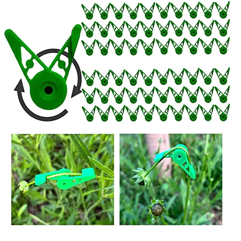 360 Degree Adjustable Plant Branch Benders Low Stress Training Clips, Plant Training Clips, Plant Bender Clips For Plant-T02C
360 Degree Adjustable Plant Branch Benders Low Stress Training Clips, Plant Training Clips, Plant Bender Clips For Plant-T02C