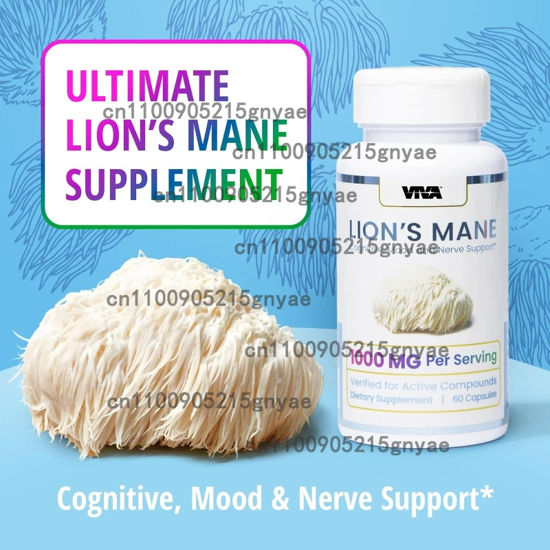 60-Count Lion Mane Supplement Capsules | Formulated with Cordyceps Sinensis, Ganoderma Lucidum, Turkey Tail
60-Count Lion Mane Supplement Capsules | Formulated with Cordyceps Sinensis, Ganoderma Lucidum, Turkey Tail