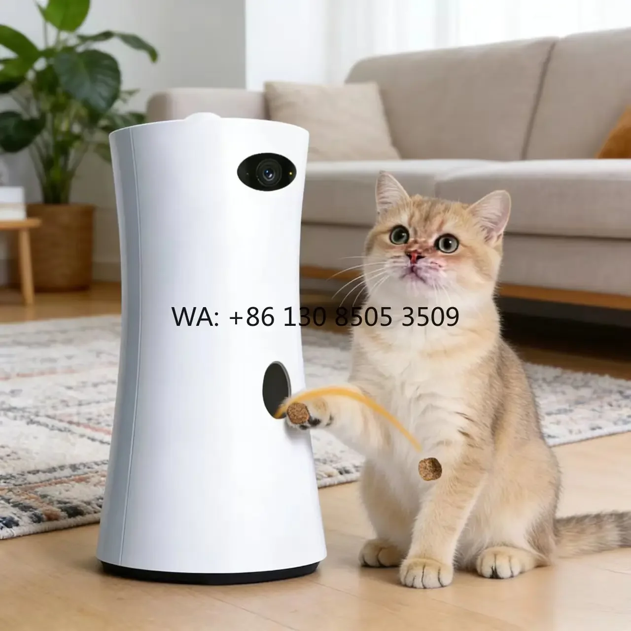 Smart Factory Direct Pet Feeder Dogs Cats 360 Rotatable HD Camera Voice Communication APP Remote Plastic Charge Classic
Smart Factory Direct Pet Feeder Dogs Cats 360 Rotatable HD Camera Voice Communication APP Remote Plastic Charge Classic