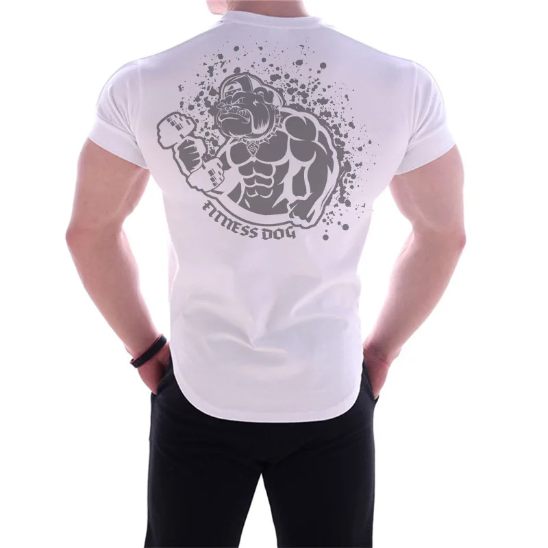 Sport Men T Shirt Fitness Training Tops Summer Quick Drying Breathable Running Muscle Fitness Clothing Outdoor Sports Tees 2025
Sport Men T Shirt Fitness Training Tops Summer Quick Drying Breathable Running Muscle Fitness Clothing Outdoor Sports Tees 2025