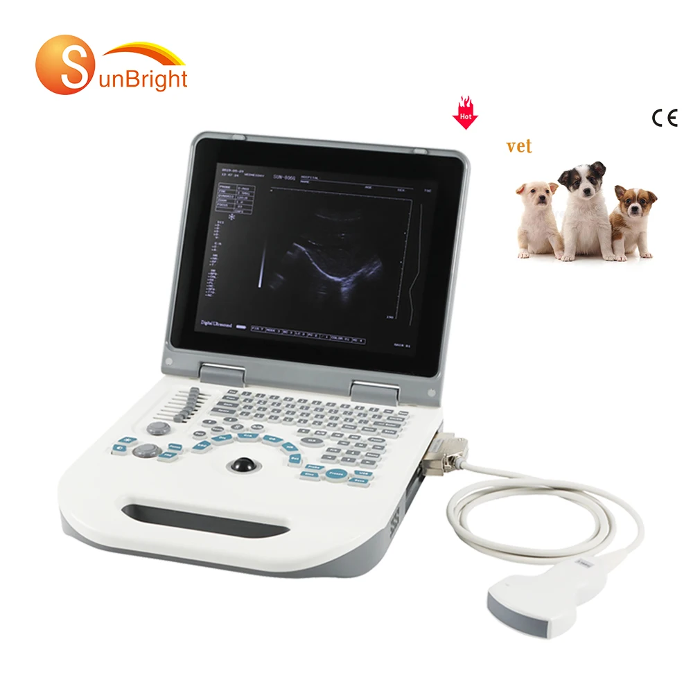 Лучшая цена ветеринарный ультразвуковой сканер для ноутбука BW ультразвуковой с выпуклым зондом для собак и кошек
Лучшая цена ветеринарный ультразвуковой сканер для ноутбука BW ультразвуковой с выпуклым зондом для собак и кошек