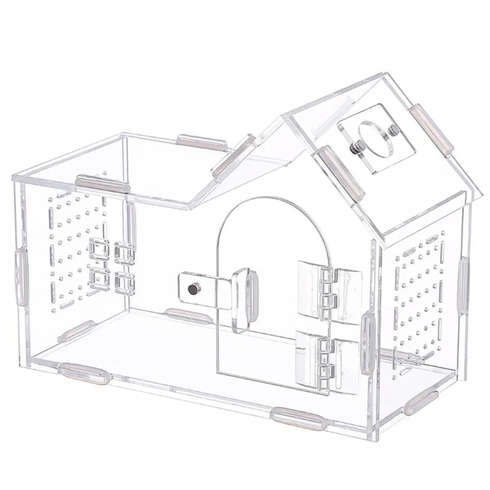 Прочный акриловый чехол для кормления рептилий, прозрачный чехол для кормления пауков, вентилируемый арпоральный ящик для разведения ящериц, товары для маленьких домашних животных
Прочный акриловый чехол для кормления рептилий, прозрачный чехол для кормления пауков, вентилируемый арпоральный ящик для разведения ящериц, товары для маленьких домашних животных