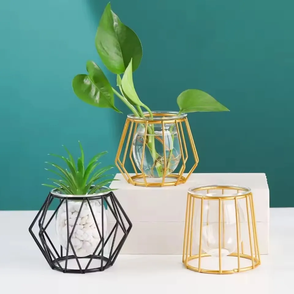 Nordic Iron Golden Hydroponic Vase Decoration Living Room Table Top Decoration Dried Flower Green Dill Plant Container Vase
Nordic Iron Golden Hydroponic Vase Decoration Living Room Table Top Decoration Dried Flower Green Dill Plant Container Vase