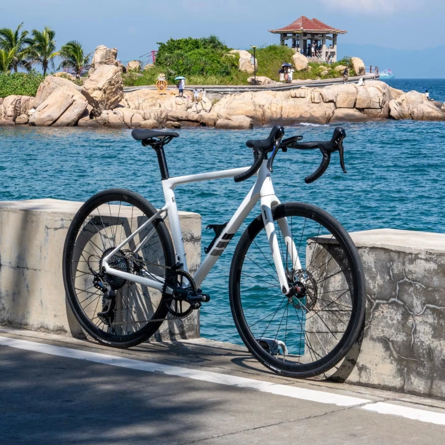 C2 шоссейный велосипед из алюминиевого сплава, сверхлегкий, 8,9 кг, 13-скоростной шоссейный велосипед с полным гидравлическим дисковым тормозом, 700C
C2 шоссейный велосипед из алюминиевого сплава, сверхлегкий, 8,9 кг, 13-скоростной шоссейный велосипед с полным гидравлическим дисковым тормозом, 700C