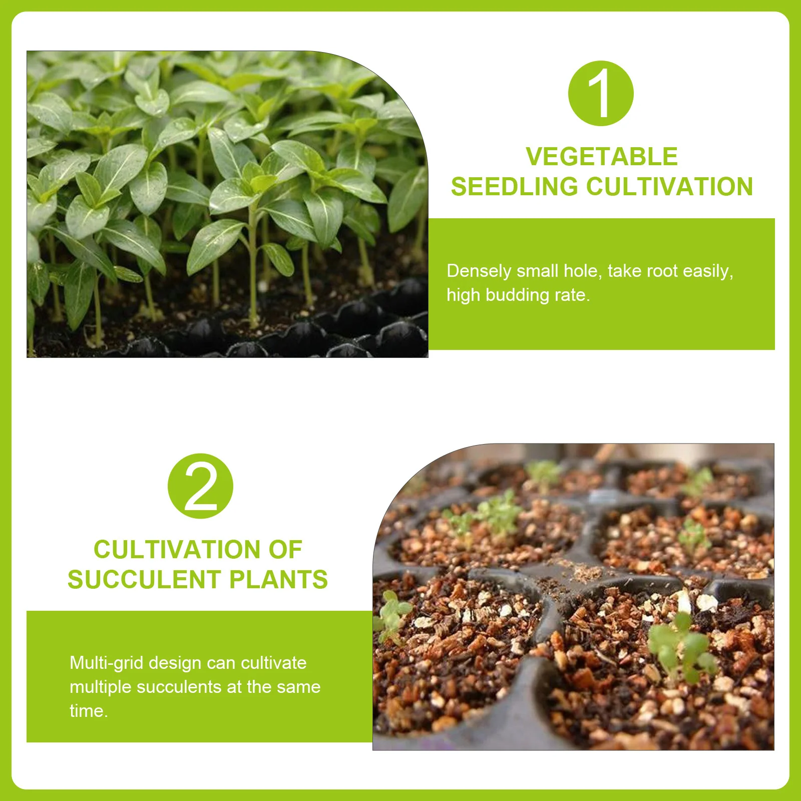 Double Layer Thickened Sprouting Tray Bpa Free Pp Resin High Germination Rate Ventilated Grid Design Green 32X22Cm
Double Layer Thickened Sprouting Tray Bpa Free Pp Resin High Germination Rate Ventilated Grid Design Green 32X22Cm