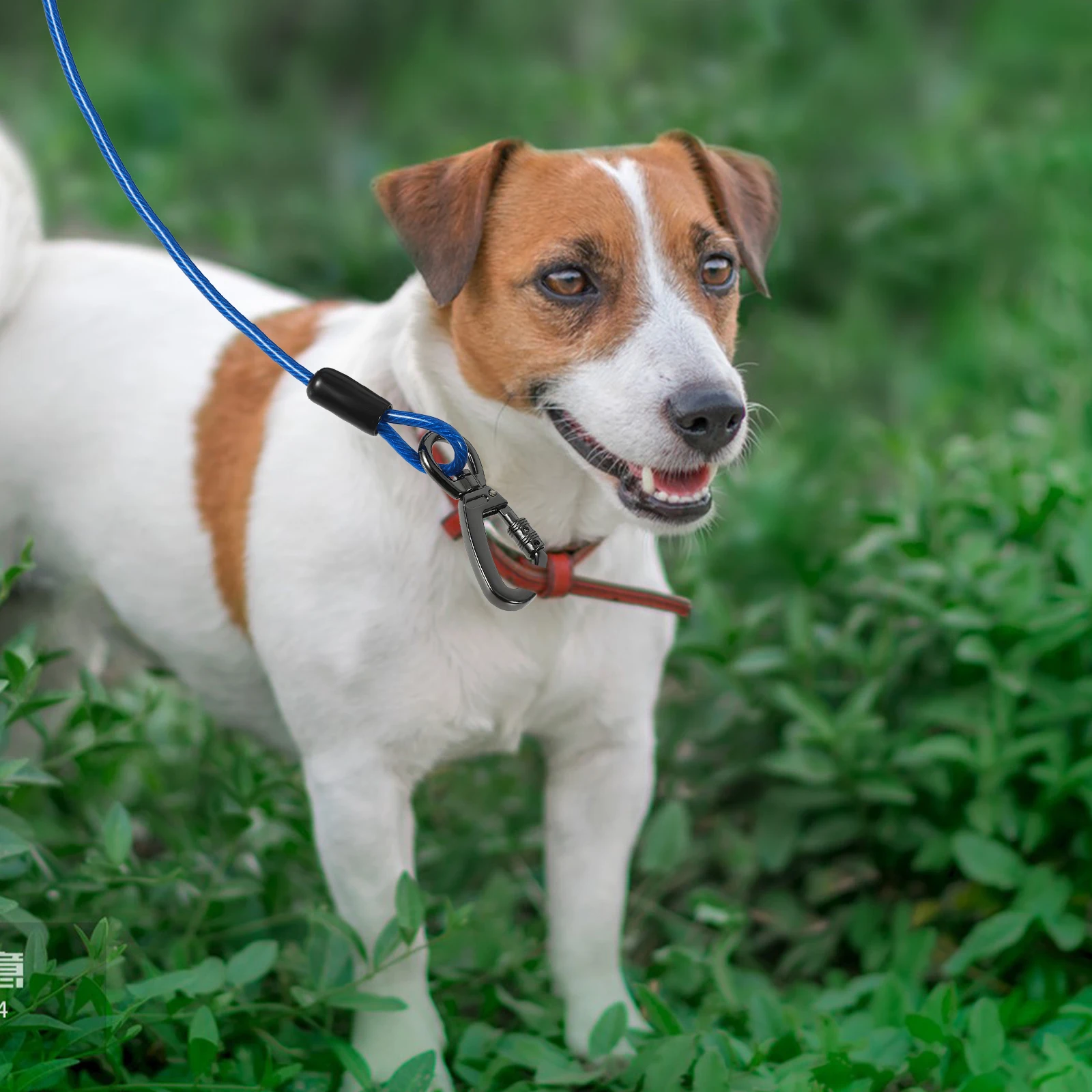 Sturdy Dog Traction Rope Durable Pet Training Leash For Small Large Dogs Lightweight Comfortable Running Walking Leash For
Sturdy Dog Traction Rope Durable Pet Training Leash For Small Large Dogs Lightweight Comfortable Running Walking Leash For