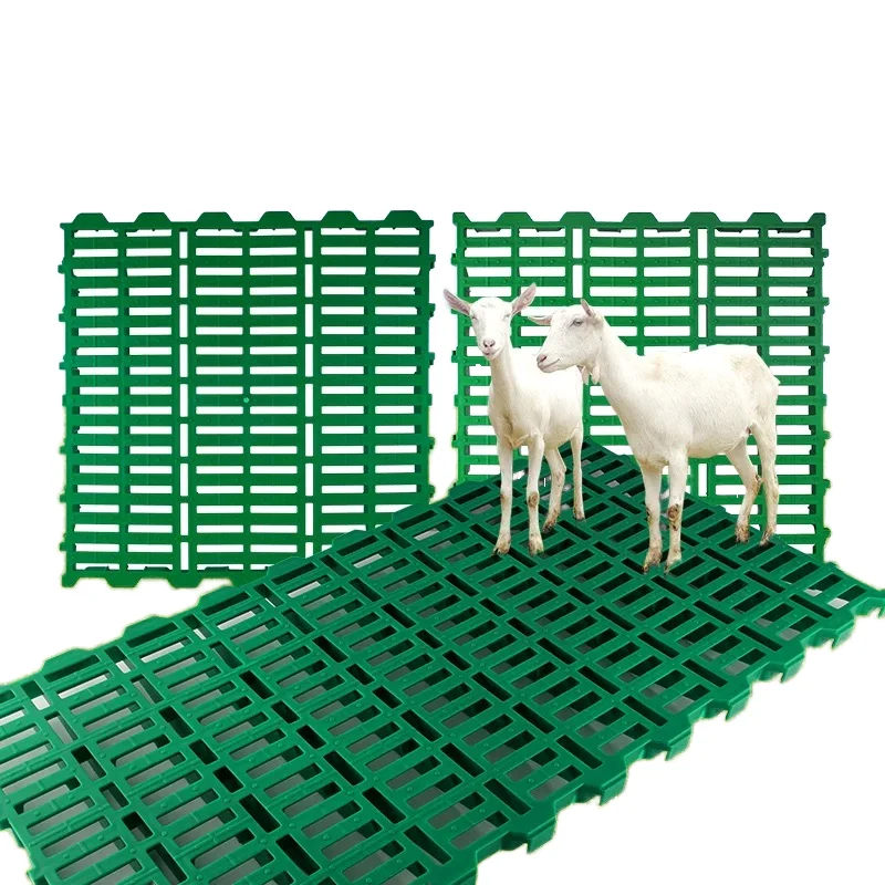 Plastic Slatted Flooring Goat Sheep Farming Plastic Slatted Flooring Plastic Slatted Flooring Goat Sheep
Plastic Slatted Flooring Goat Sheep Farming Plastic Slatted Flooring Plastic Slatted Flooring Goat Sheep