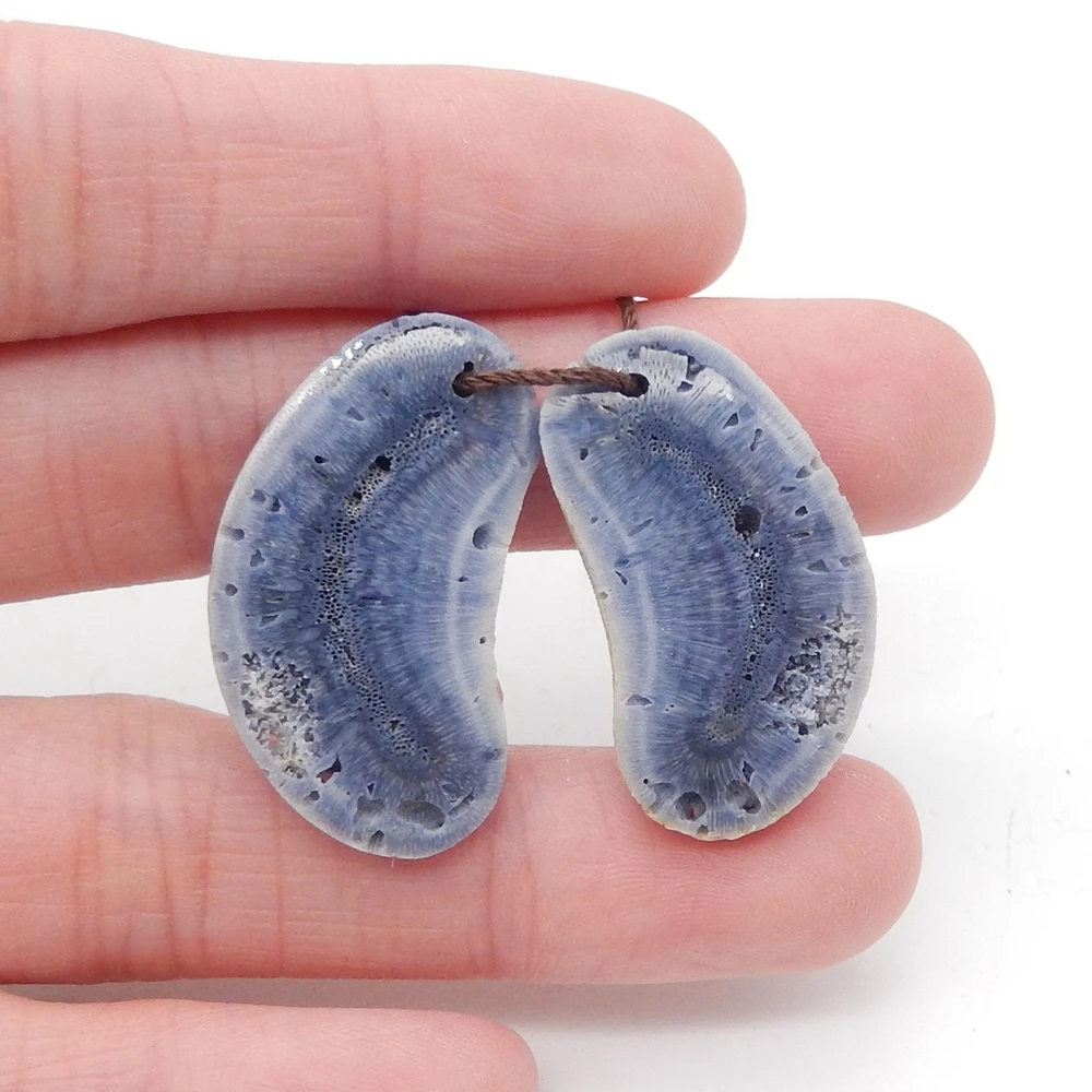 Natural Blue Coral Earrings for Women, Gemstone Earrings Beads for Jewelry Making
Natural Blue Coral Earrings for Women, Gemstone Earrings Beads for Jewelry Making