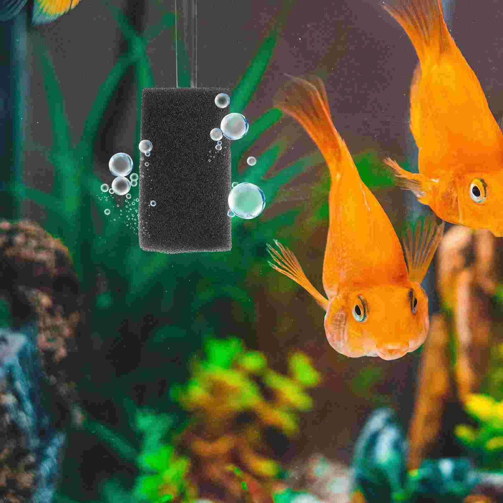 20 Pcs Filter Aquarium Pre-filter Sponge Sponges Strainer Fish Tank Activated Carbon
20 Pcs Filter Aquarium Pre-filter Sponge Sponges Strainer Fish Tank Activated Carbon