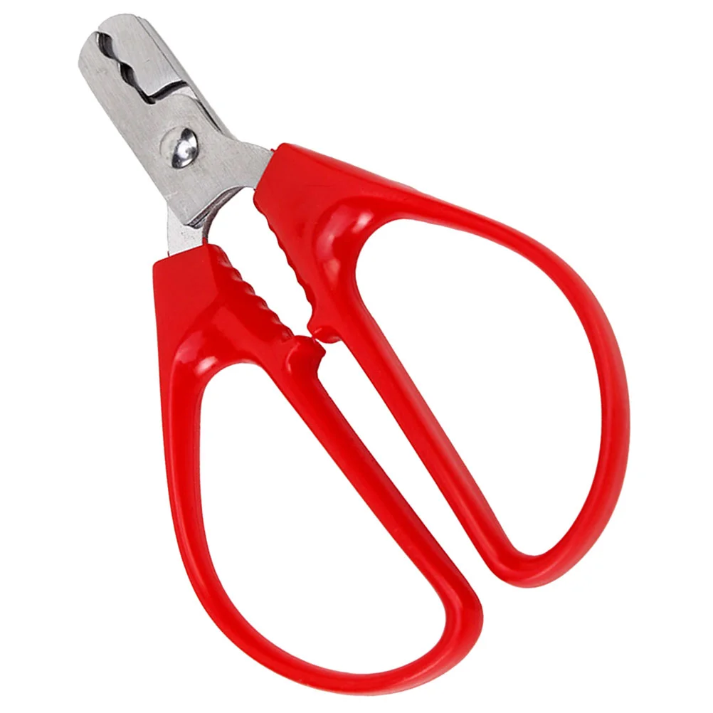 Seafood Melon Seed Pliers Oyster Crackers Mans Plastic Multi-use Nut Cracking Tool
Seafood Melon Seed Pliers Oyster Crackers Mans Plastic Multi-use Nut Cracking Tool