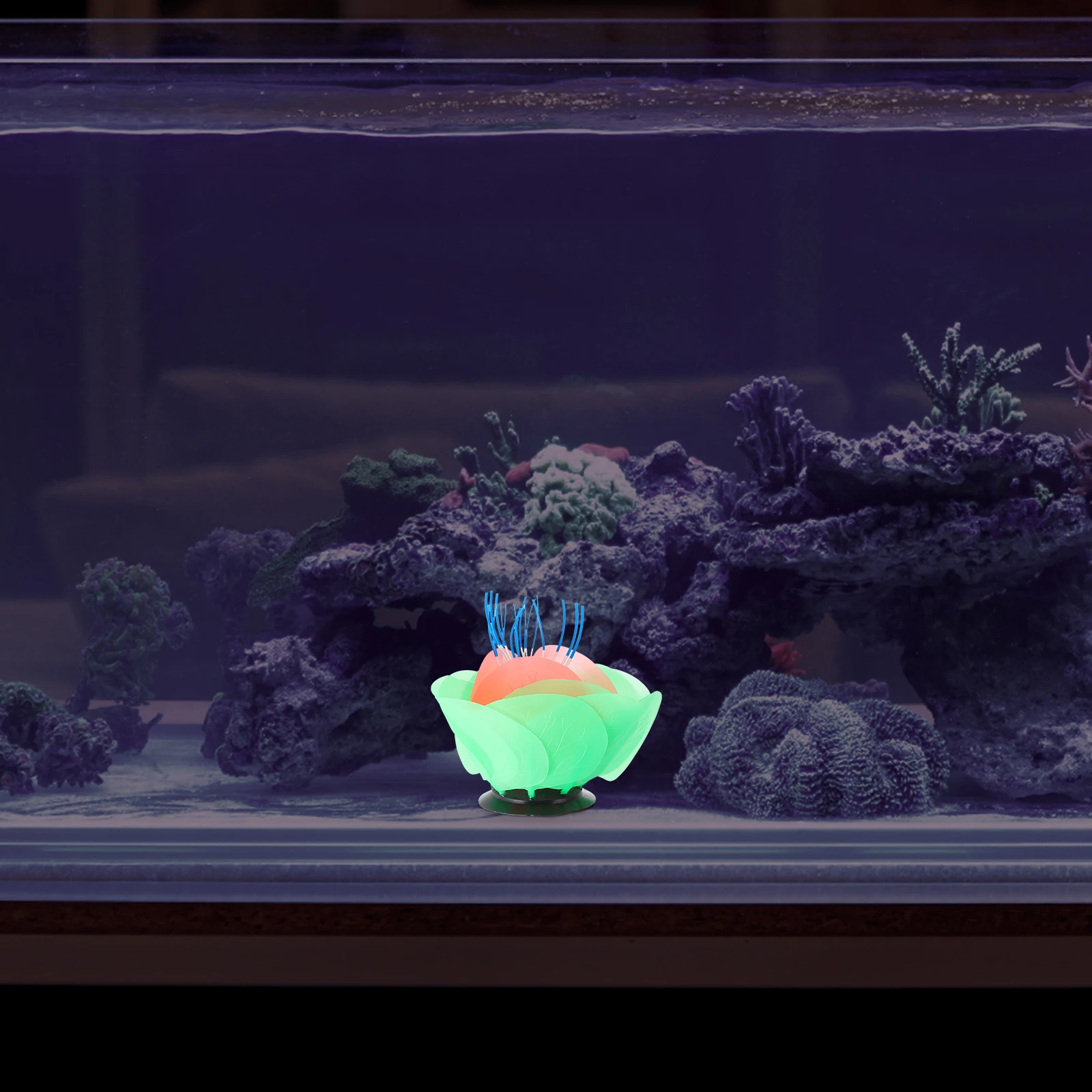 Fluorescent Flower Decoration Aquarium for Fish Plants Tank Lilies Decorations Louts Flowers Water Lily Floral Artificial 
Fluorescent Flower Decoration Aquarium for Fish Plants Tank Lilies Decorations Louts Flowers Water Lily Floral Artificial