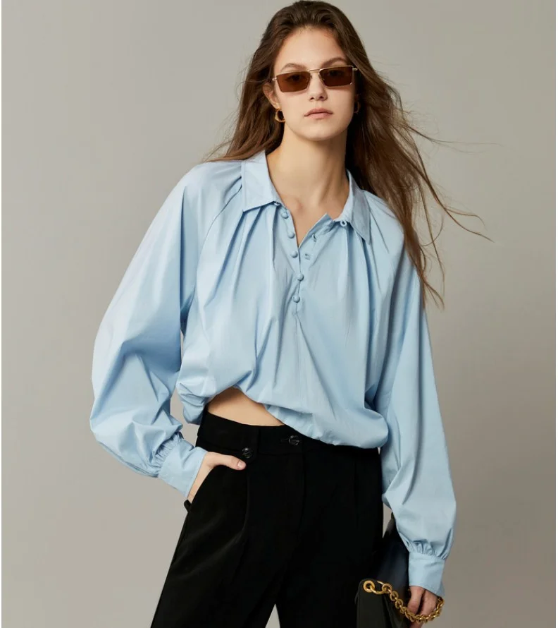 French Light Mature Style V-Neck Blue Shirt Women's Design Sense Small Long Sleeve Loose Slim Top High Grade Sense
French Light Mature Style V-Neck Blue Shirt Women's Design Sense Small Long Sleeve Loose Slim Top High Grade Sense