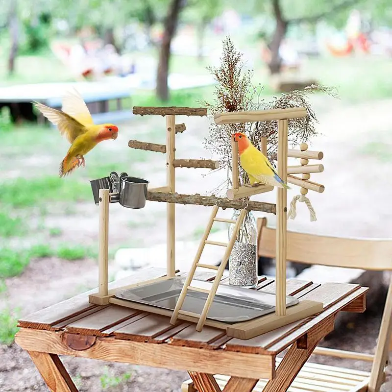 Bird Play Stand Swing Chew Exercise Toys With Tray And Cups Bird Perches Exercise Play Gym Bird Toys For Cockatiel Parakeet
Bird Play Stand Swing Chew Exercise Toys With Tray And Cups Bird Perches Exercise Play Gym Bird Toys For Cockatiel Parakeet