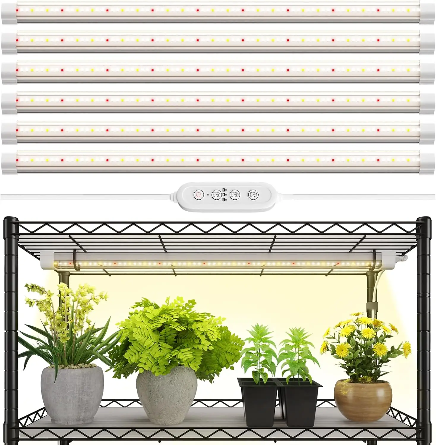 T8 LED Grow Light with Timer, 2FT Full Spectrum, 180W, 4 Installation Methods, Linkable Strip for Indoor Plants
T8 LED Grow Light with Timer, 2FT Full Spectrum, 180W, 4 Installation Methods, Linkable Strip for Indoor Plants