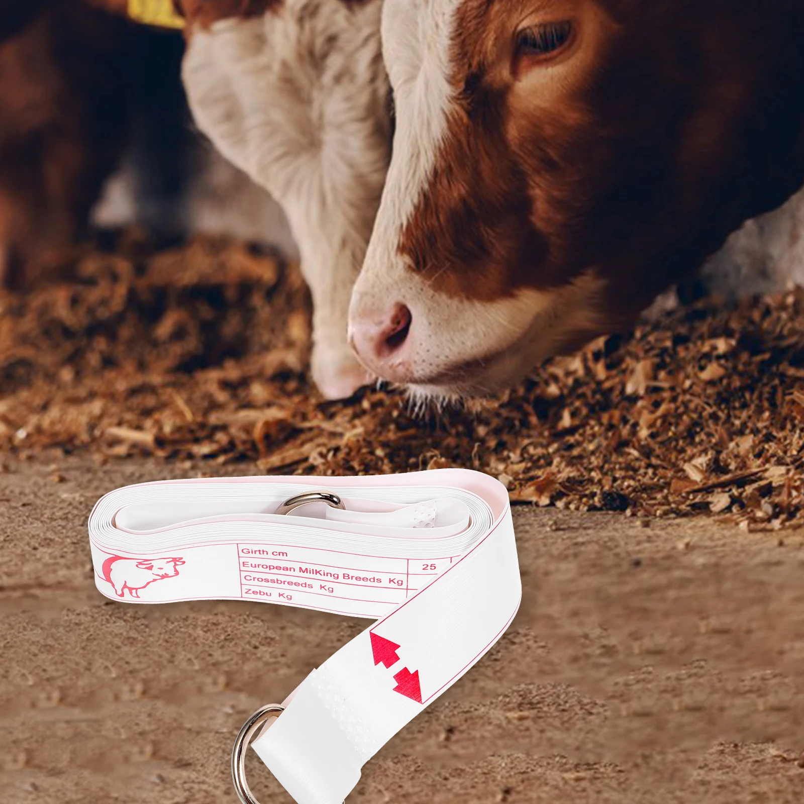 Livestock Animal Weight Scale Cattle Tape Measure Goat Horse Measuring Tools High Precision Chest Waist Measurement Portable
Livestock Animal Weight Scale Cattle Tape Measure Goat Horse Measuring Tools High Precision Chest Waist Measurement Portable