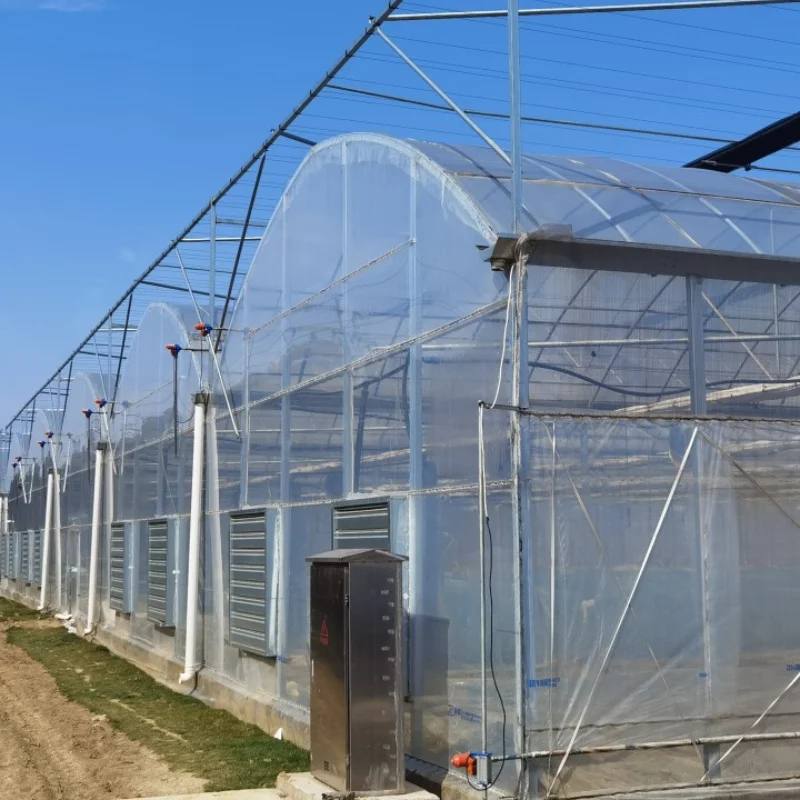 Customized greenhouseRound Pipes Arch Type Multi Span Fruit Greenhouse Ventilation System Green House Kit for Year-Round Gardeni
Customized greenhouseRound Pipes Arch Type Multi Span Fruit Greenhouse Ventilation System Green House Kit for Year-Round Gardeni