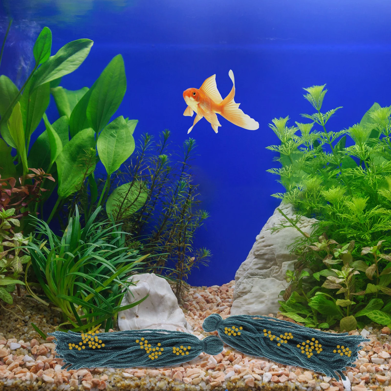 5 Pcs Spawn Mop Breeding Mops Fish Floating Spawning Fishnet Yarn Tank Aquarium
5 Pcs Spawn Mop Breeding Mops Fish Floating Spawning Fishnet Yarn Tank Aquarium