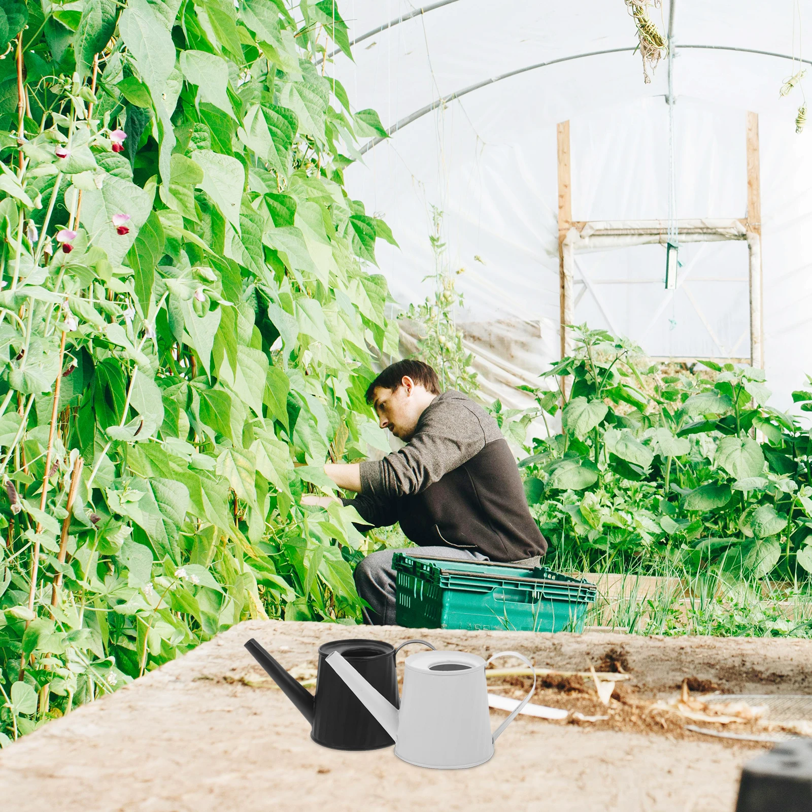 2pcs Metal Long Spout Watering Can For Indoor Outdoor Garden Plant Care Tool Household Watering Pot Flower Succulent Supply
2pcs Metal Long Spout Watering Can For Indoor Outdoor Garden Plant Care Tool Household Watering Pot Flower Succulent Supply