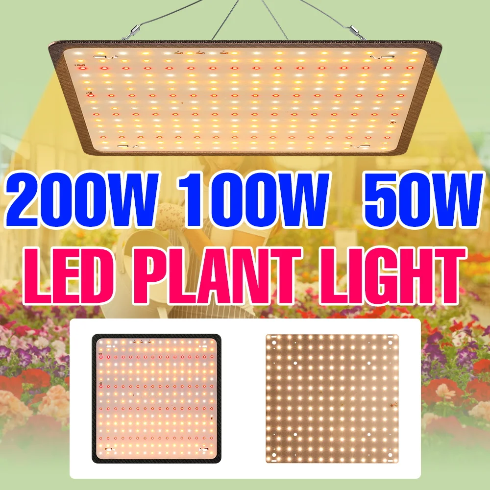 200W LED Full Spectrum Grow Light 220V Quantum Board Plant Lamp Greenhouse Tent Vegs Flower Cultivation Fill Lighting US/EU Plug
200W LED Full Spectrum Grow Light 220V Quantum Board Plant Lamp Greenhouse Tent Vegs Flower Cultivation Fill Lighting US/EU Plug