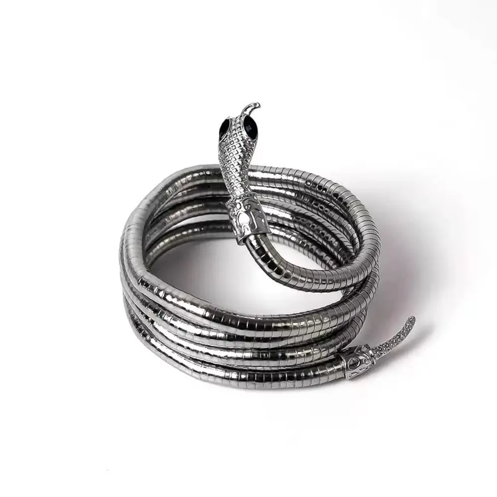 2Pcs Retro Adjustable Serpentine Necklace Metal snake bone chain Dark Wind Dark Design Sense Choker Trendy adjustable
2Pcs Retro Adjustable Serpentine Necklace Metal snake bone chain Dark Wind Dark Design Sense Choker Trendy adjustable
