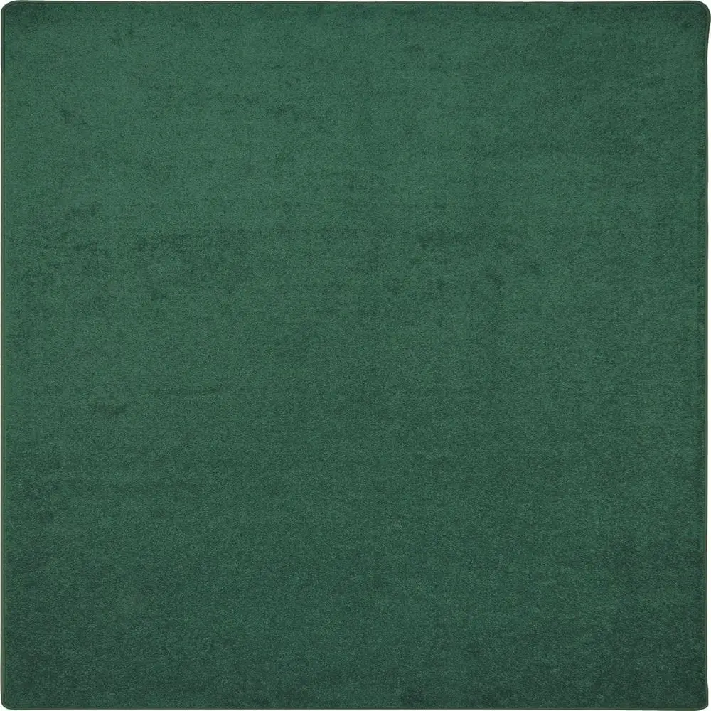 Solid Colored Area Rug, 12' x 12', in Forest Green
Solid Colored Area Rug, 12' x 12', in Forest Green