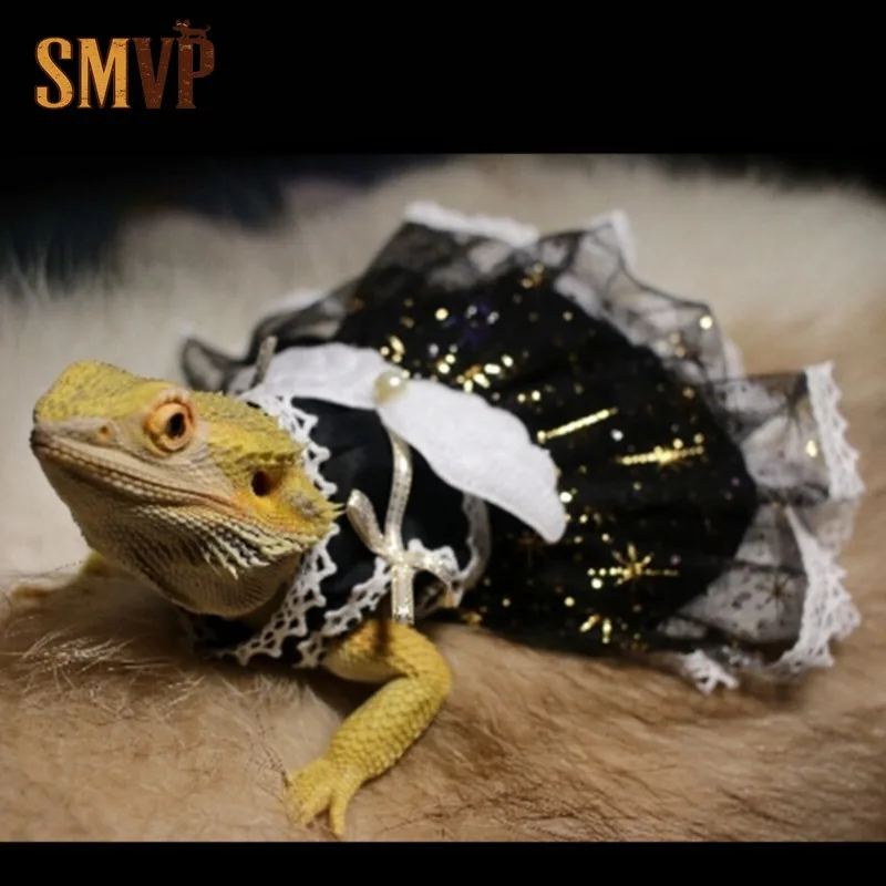 Black Golden Star Tulle Pet Tutu Dress White Angel Wing Decor Lace Trim Sling Dress for Meerkat Chinchilla Squirrel Prairie Dog
Black Golden Star Tulle Pet Tutu Dress White Angel Wing Decor Lace Trim Sling Dress for Meerkat Chinchilla Squirrel Prairie Dog