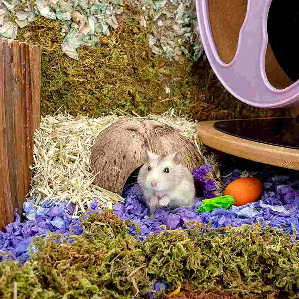 2 Pcs Toy Animals Coconut Hideout House Terrarium Supply Reptile Accessories Resin Adorable Cave Scorpion Shell Household
2 Pcs Toy Animals Coconut Hideout House Terrarium Supply Reptile Accessories Resin Adorable Cave Scorpion Shell Household