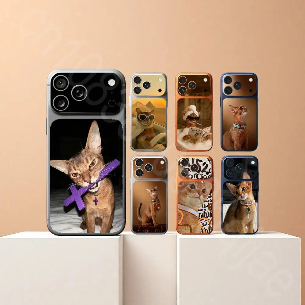Abyssinian cat For iPhone 17proMax 17pro Full Cover Decal Skin Wrap Rear Protective Sticker Film
Abyssinian cat For iPhone 17proMax 17pro Full Cover Decal Skin Wrap Rear Protective Sticker Film